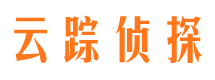 广南调查公司